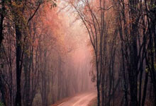 卡利亚里足球俱乐部有哪些独特的发展故事和赛场表现？