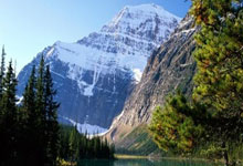 哪里能看五星体育在线直播高清无插件？